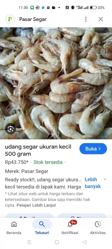 Udang fresh ukuran kecil
